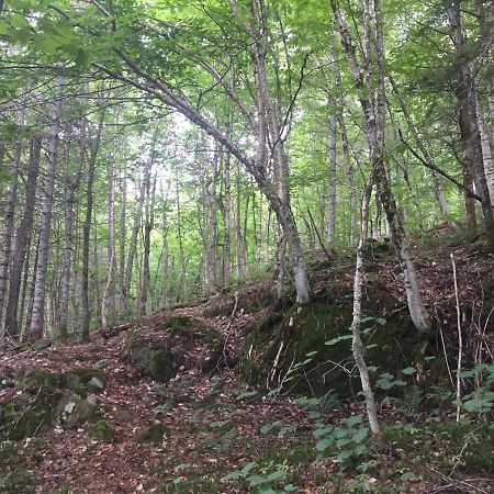 Chalet Nature Laurentides Val-des-Lacs Exterior photo